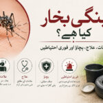 ڈینگی بخار: علامات، تشخیص، علاج اور بچاؤ