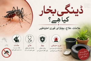 Read more about the article ڈینگی بخار: علامات، تشخیص، علاج اور بچاؤ
